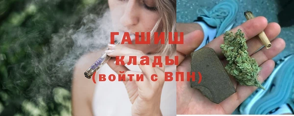 хмурый Алексин