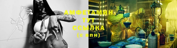 шишки Алзамай