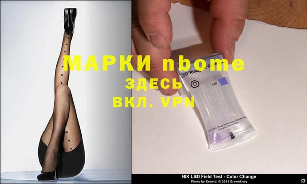 хмурый Алексин