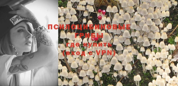 хмурый Алексин