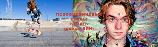 хмурый Алексин